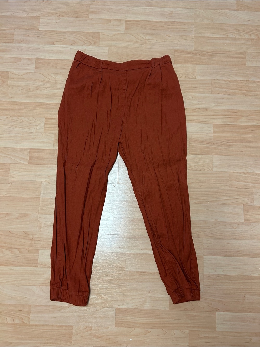 Express Women's Linen Rust Red Jogger Pants